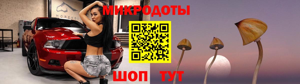 Псилоцибиновые грибы Psilocybine cubensis  Вход с VPN  Рославль  Галлюциногенные грибы Psilocybine cubensis 